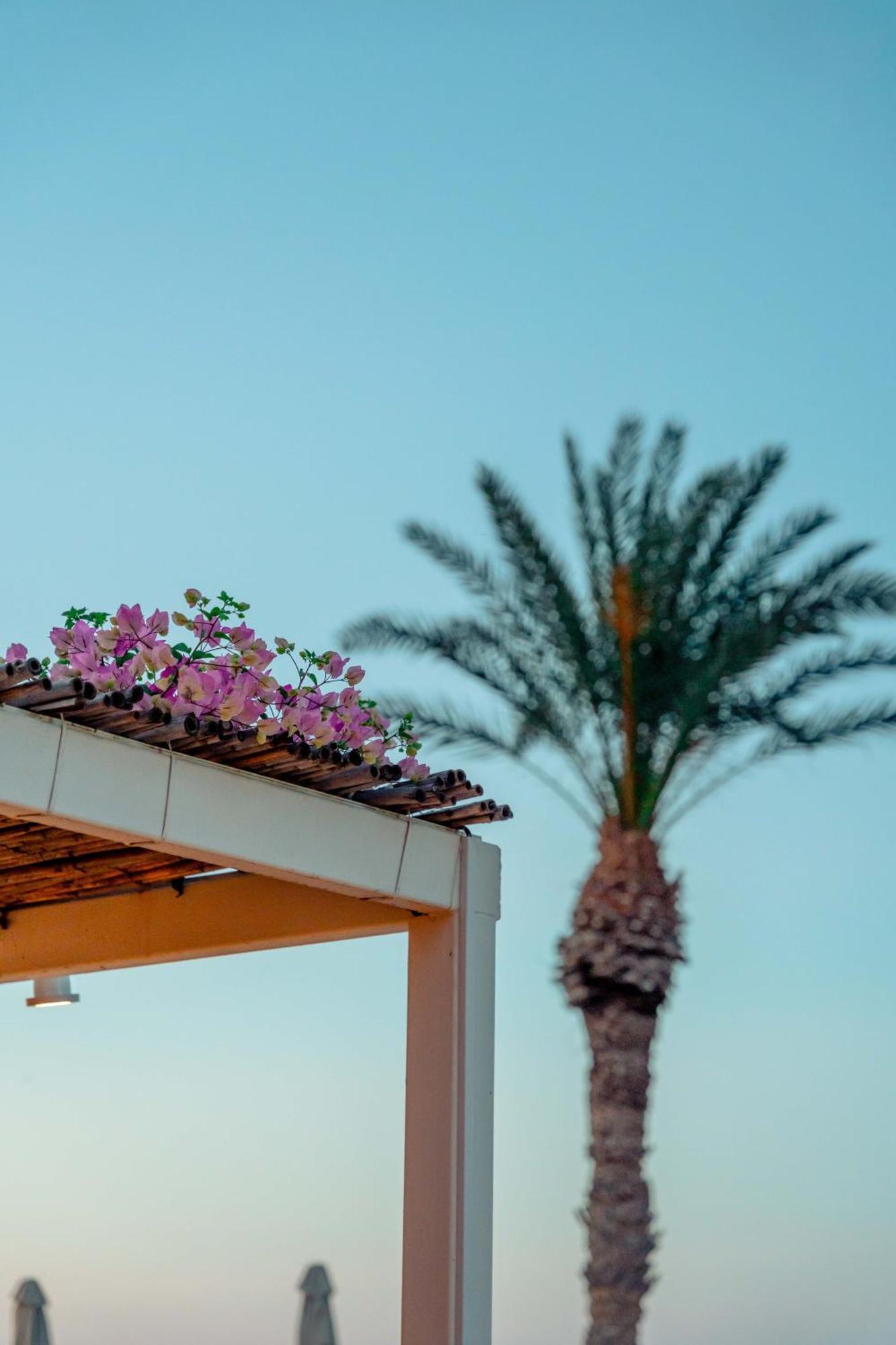 Maistrali Sea View Apartments Stalida Exterior foto